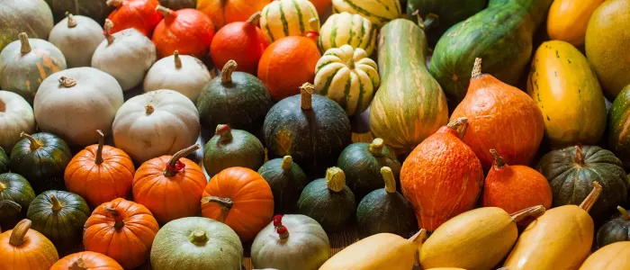 Thanksgiving Squashes